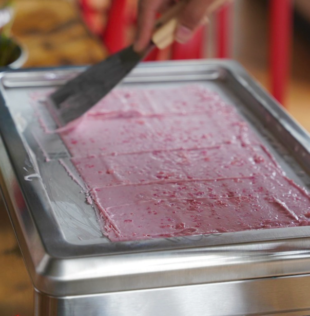 PANNICE™ MINI ELECTRIC ICE ROLL MACHINE